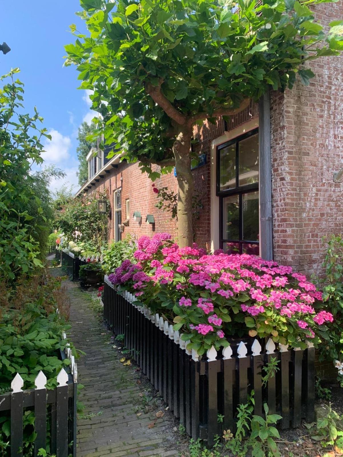 Apartamento "Het Steechje" In Ie Bij Schiermonnikoog En Ameland Ee Exterior foto